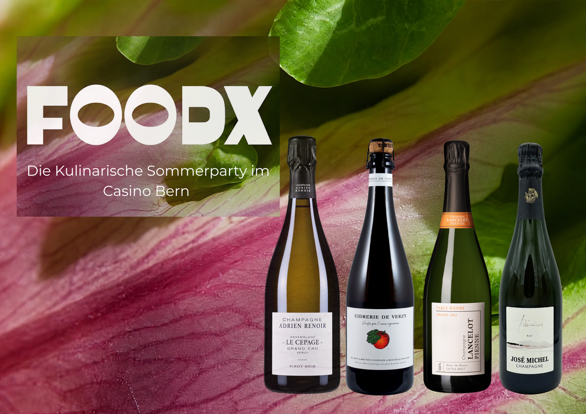 FOODX COLLECTION